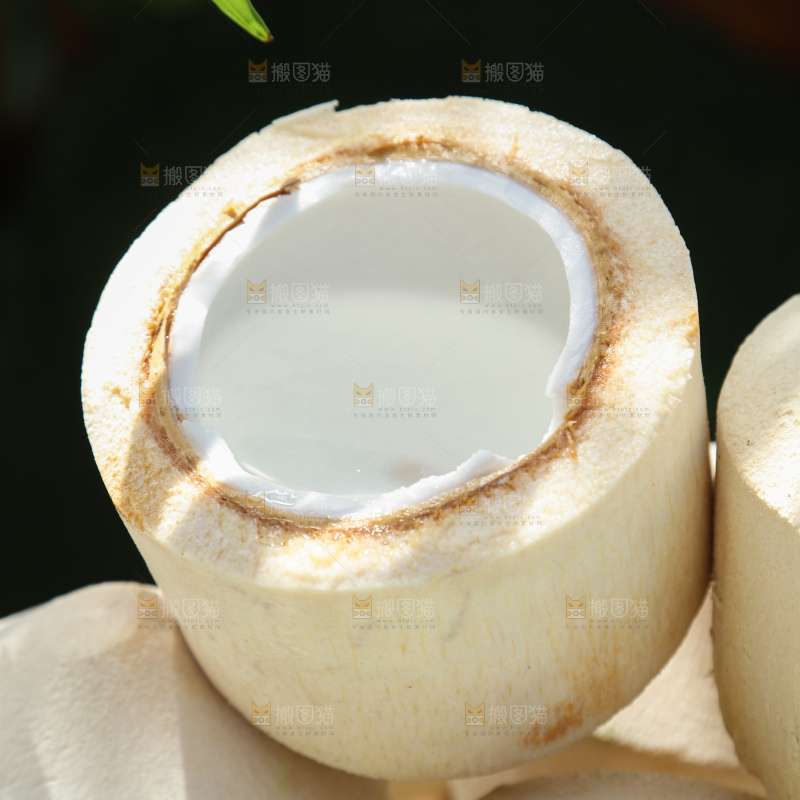 牛奶椰皇