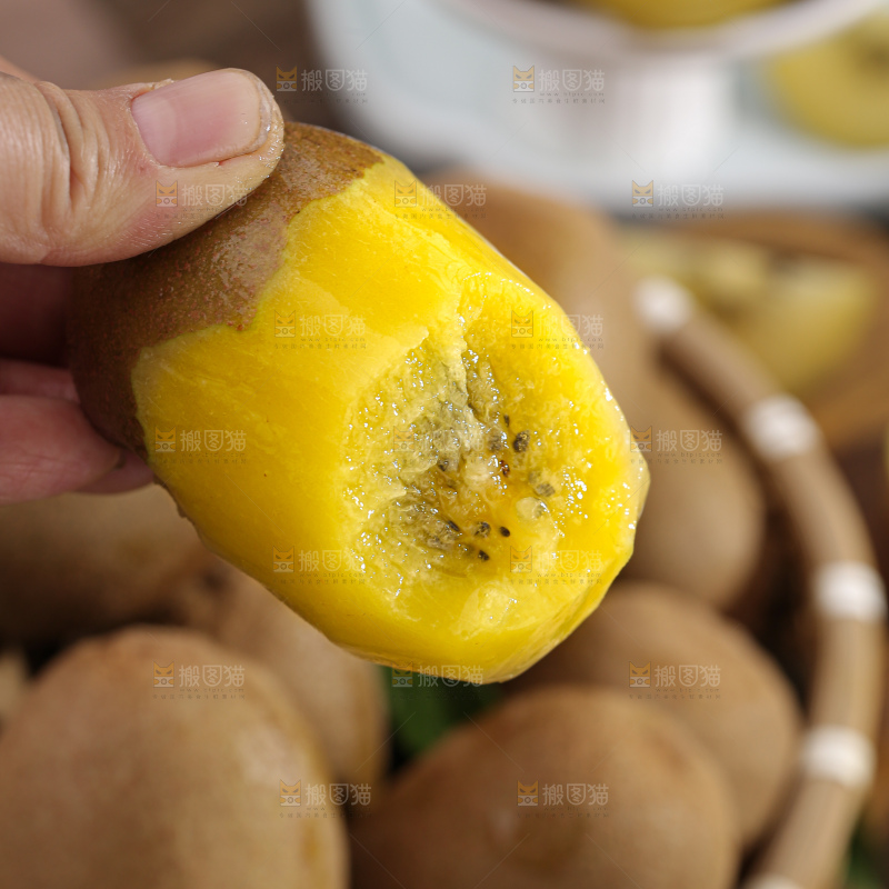 黄金奇异果