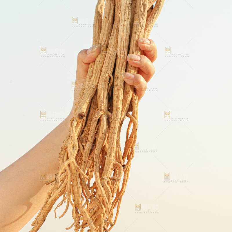 党参