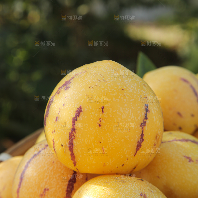 人参果