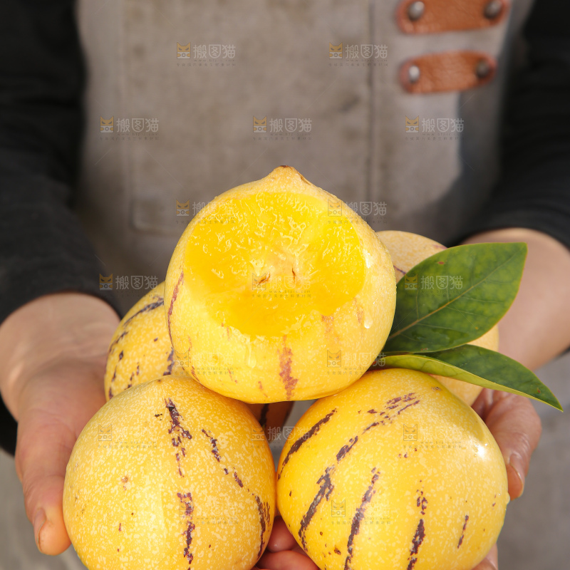 人参果