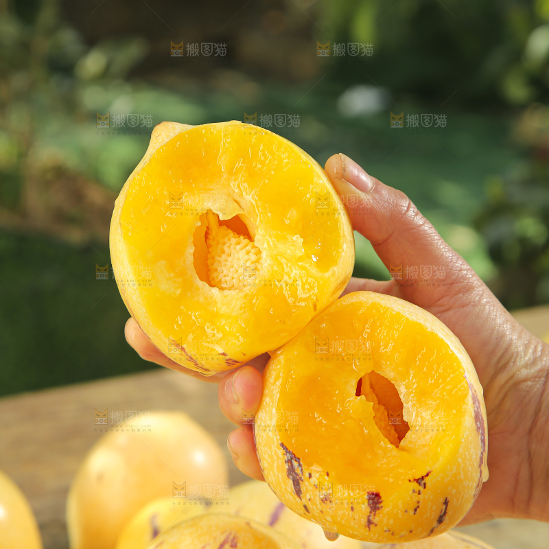 人参果
