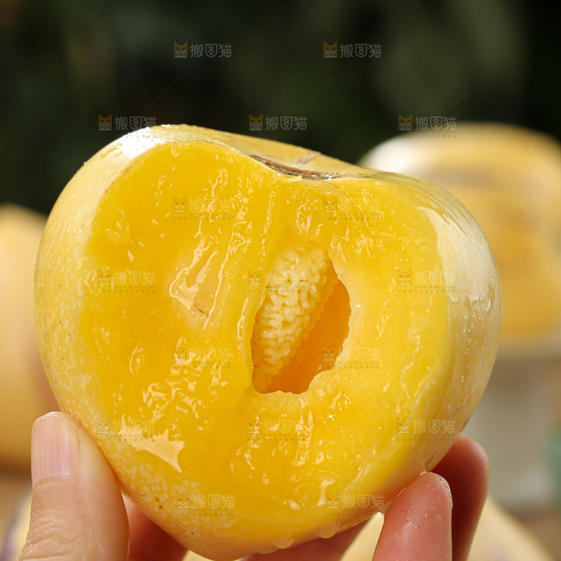 人参果