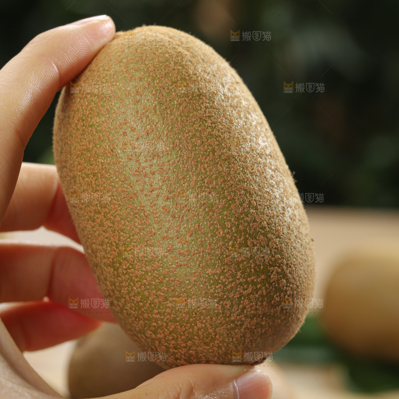 黄金奇异果