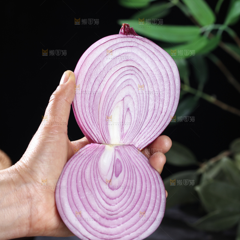 洋葱