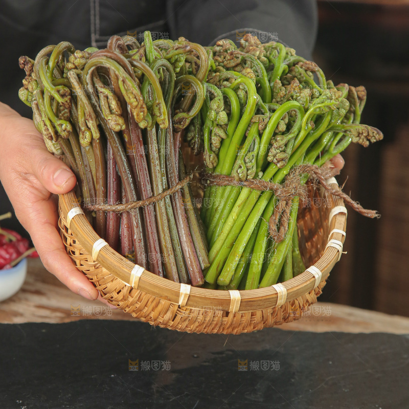 蕨菜