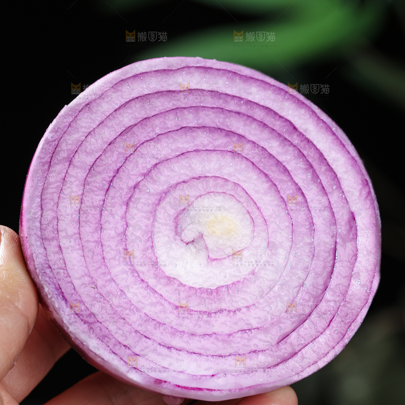 洋葱