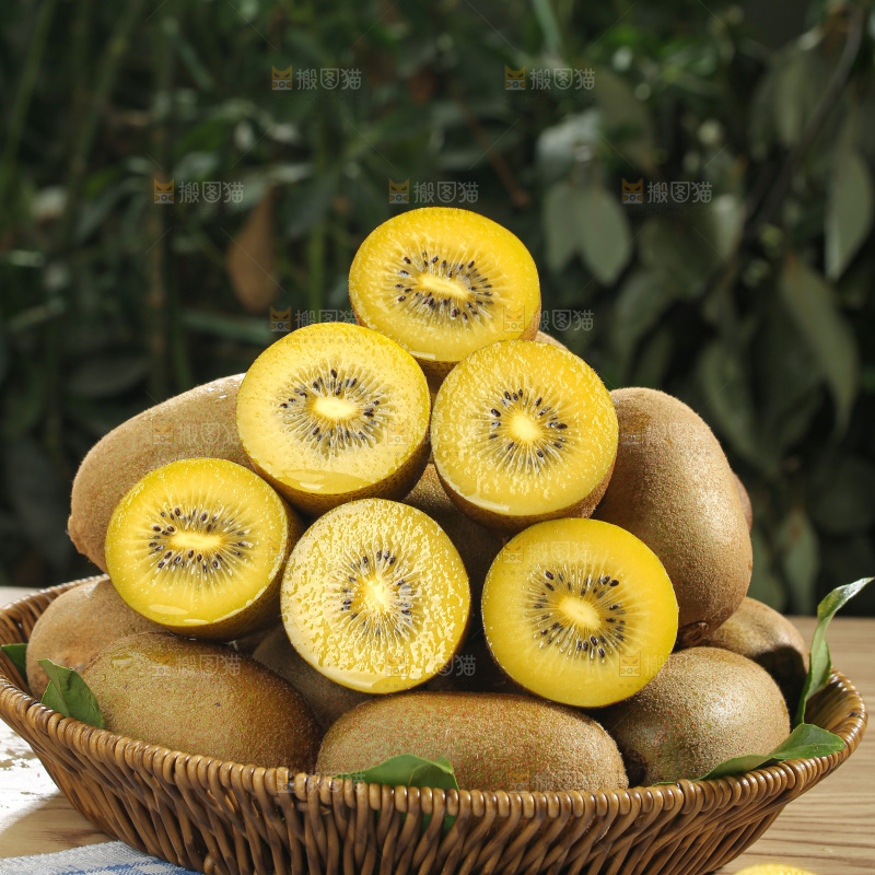 黄金奇异果