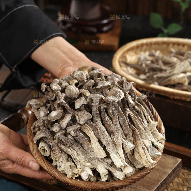 鹿茸菇