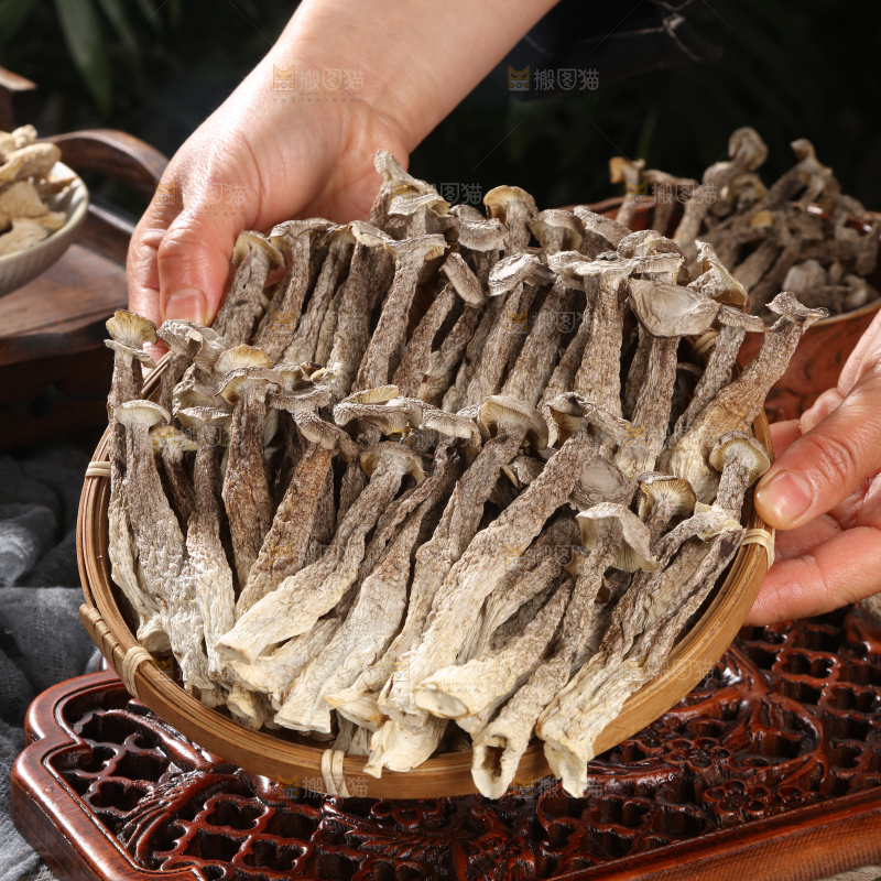 鹿茸菇