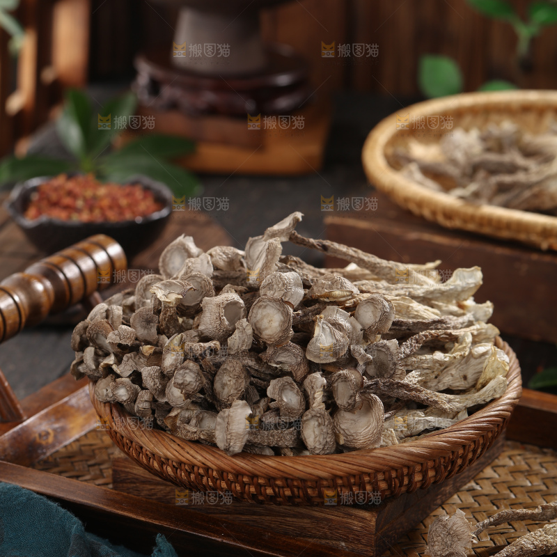 鹿茸菇