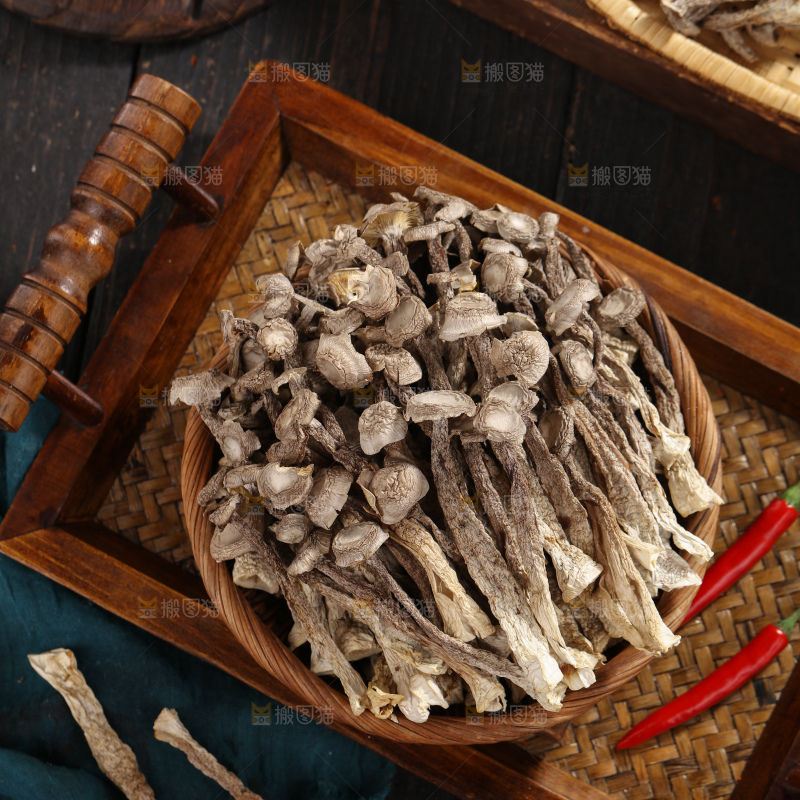 鹿茸菇
