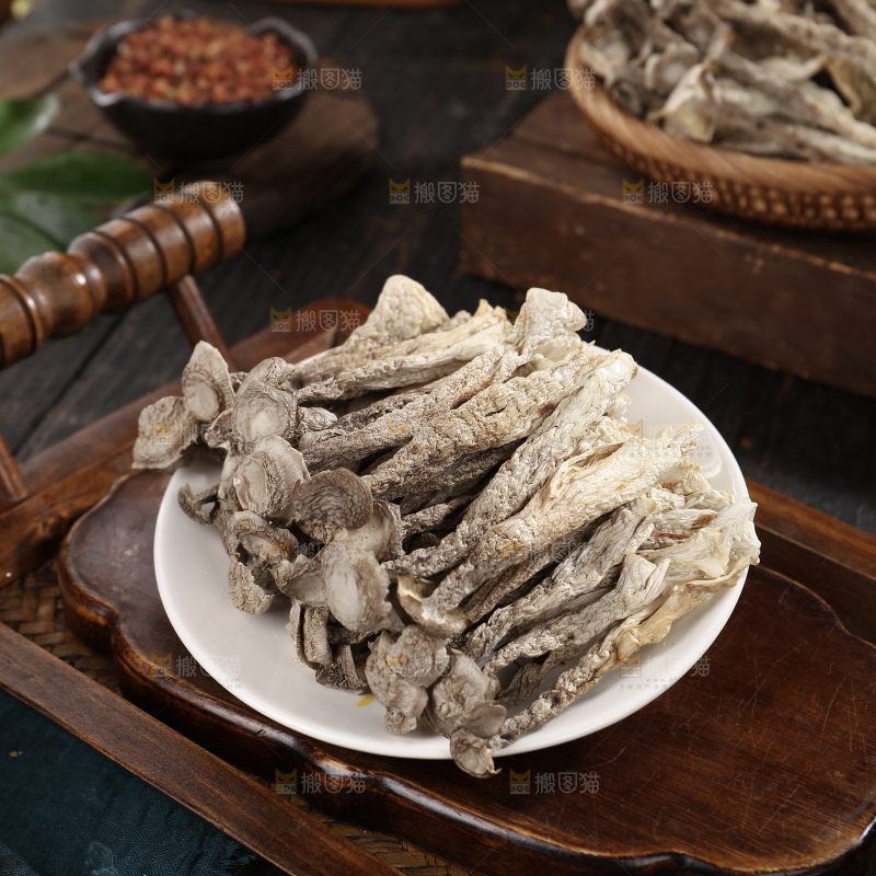 鹿茸菇