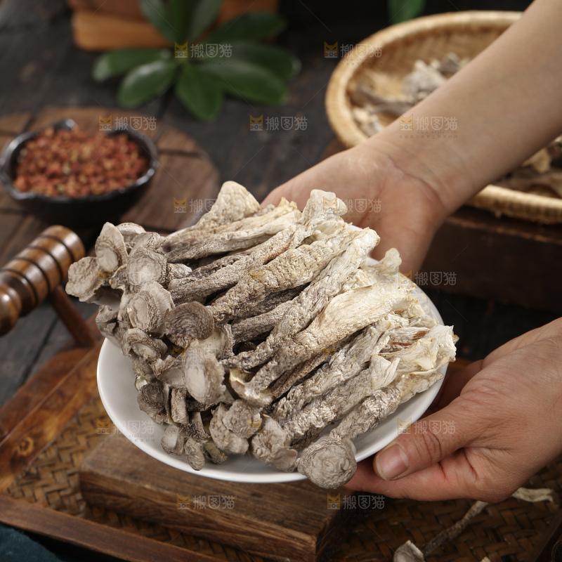 鹿茸菇