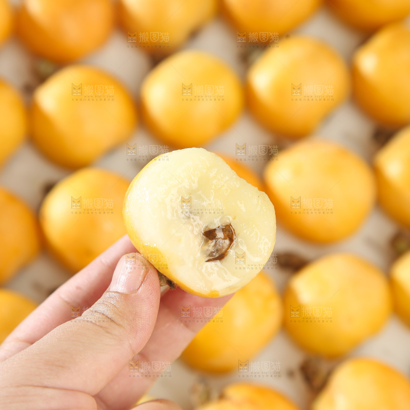 白玉枇杷