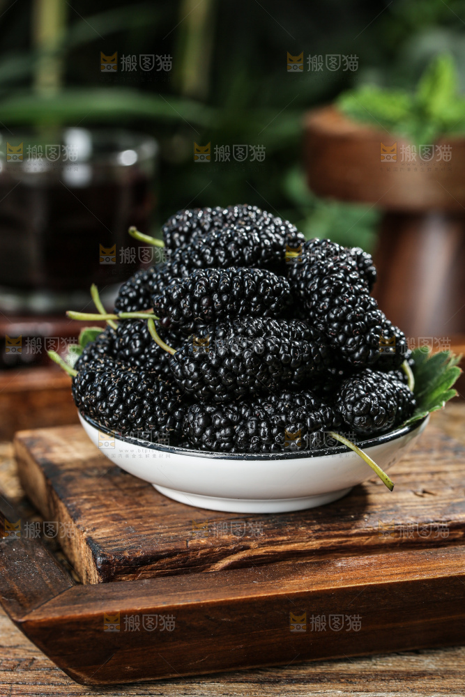 桑葚