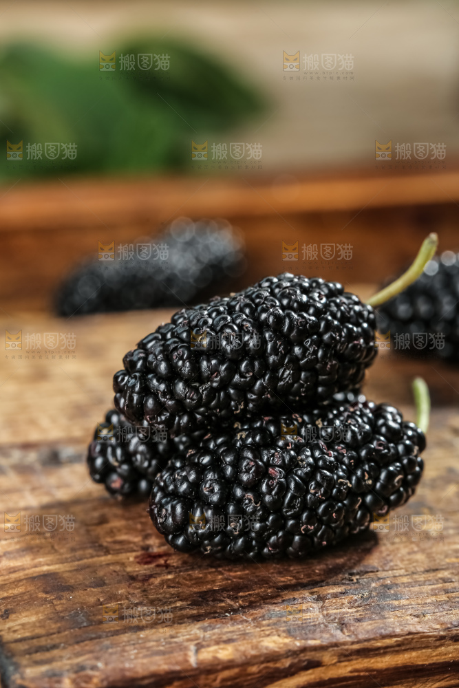 桑葚