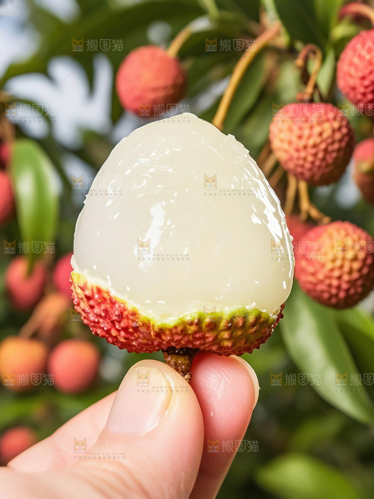 妃子笑荔枝