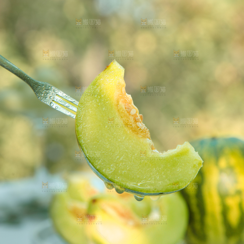 花蕾甜瓜