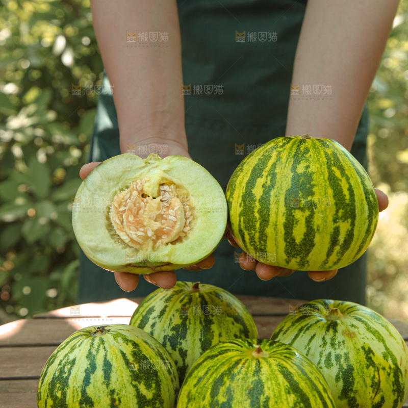 花蕾甜瓜