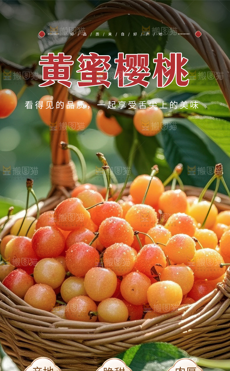 黄蜜樱桃详情页