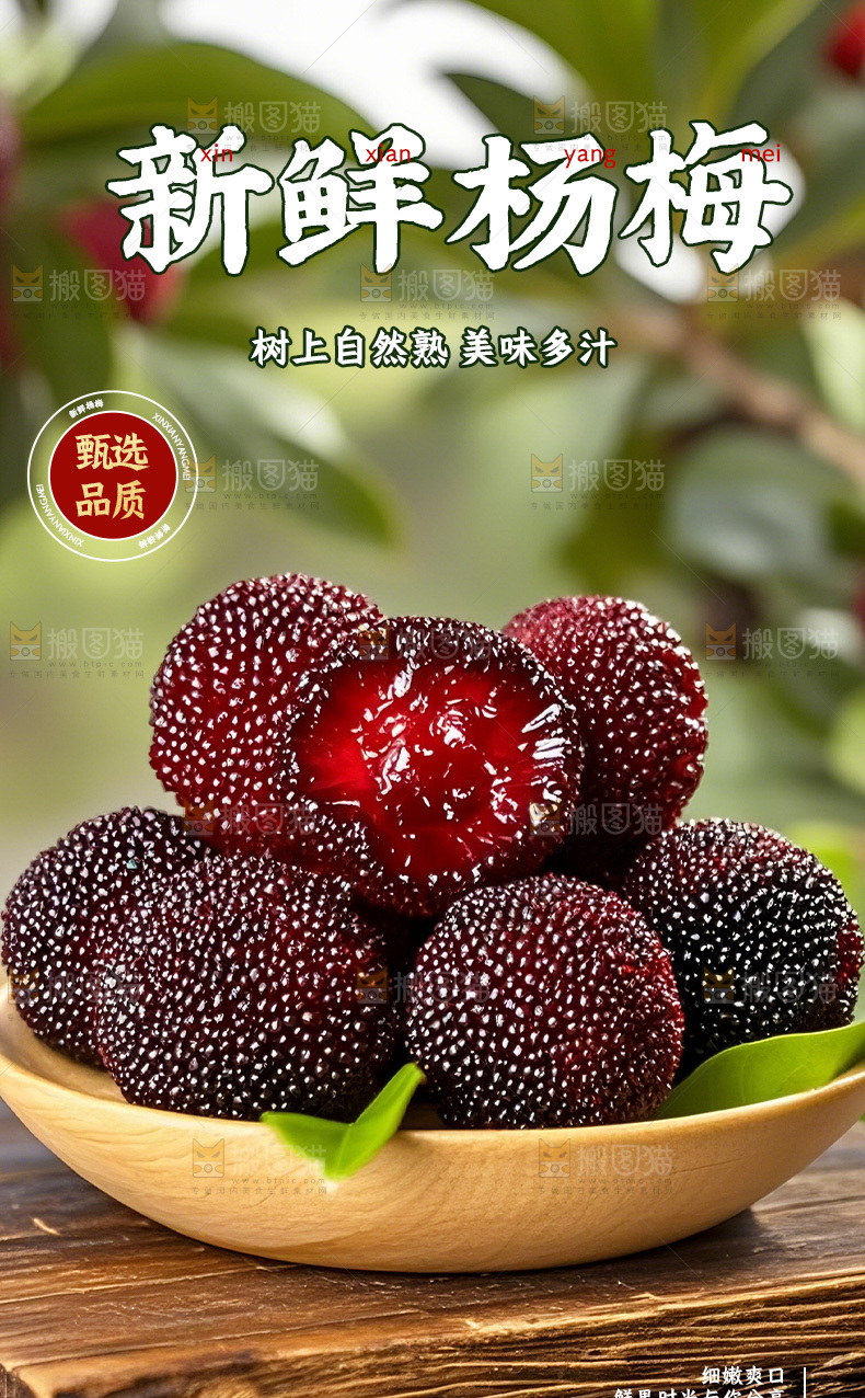 东魁杨梅详情页