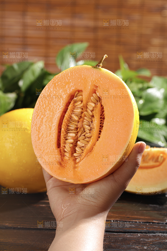 黄河蜜瓜