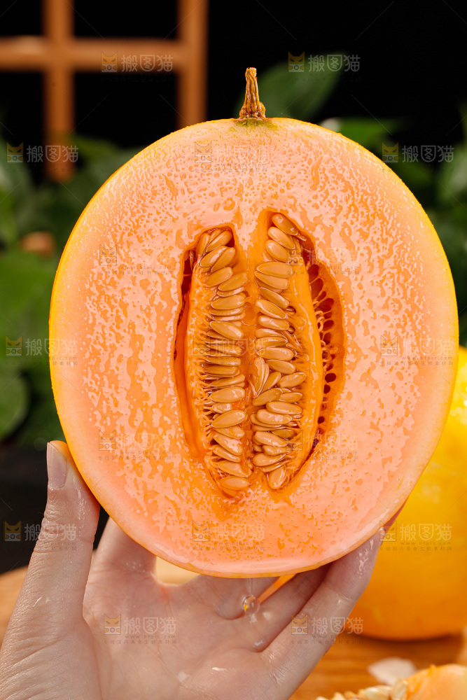 黄河蜜瓜