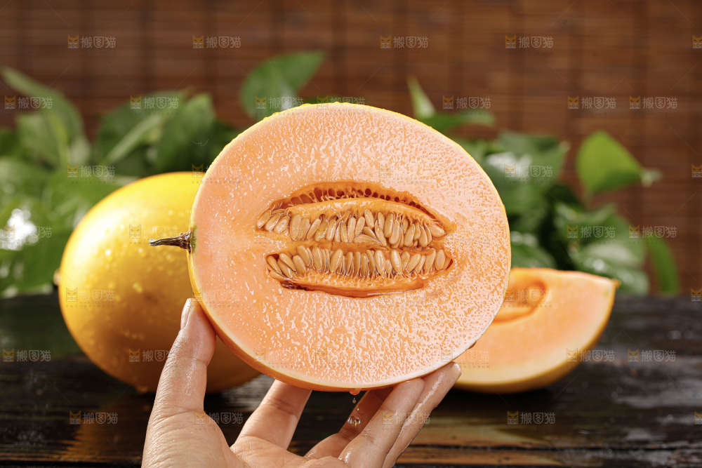 黄河蜜瓜