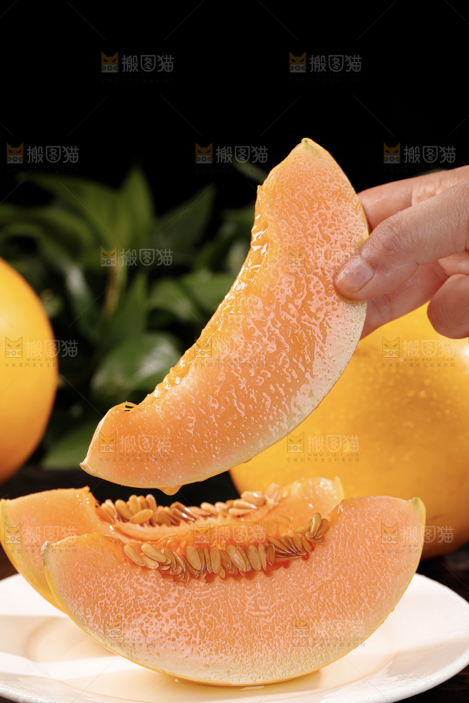 黄河蜜瓜