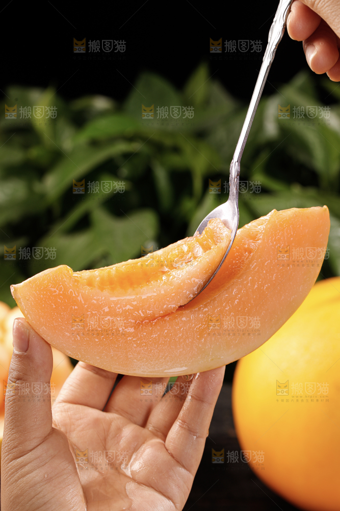 黄河蜜瓜