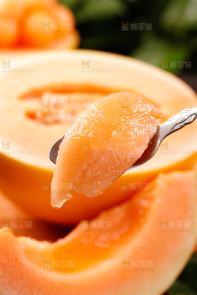 黄河蜜瓜