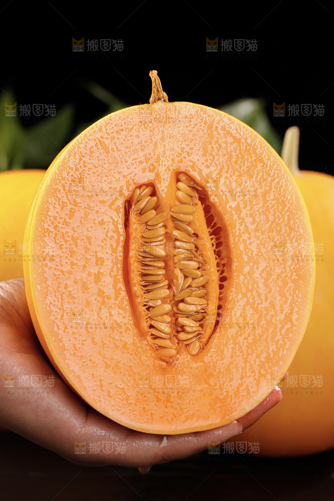 黄河蜜瓜