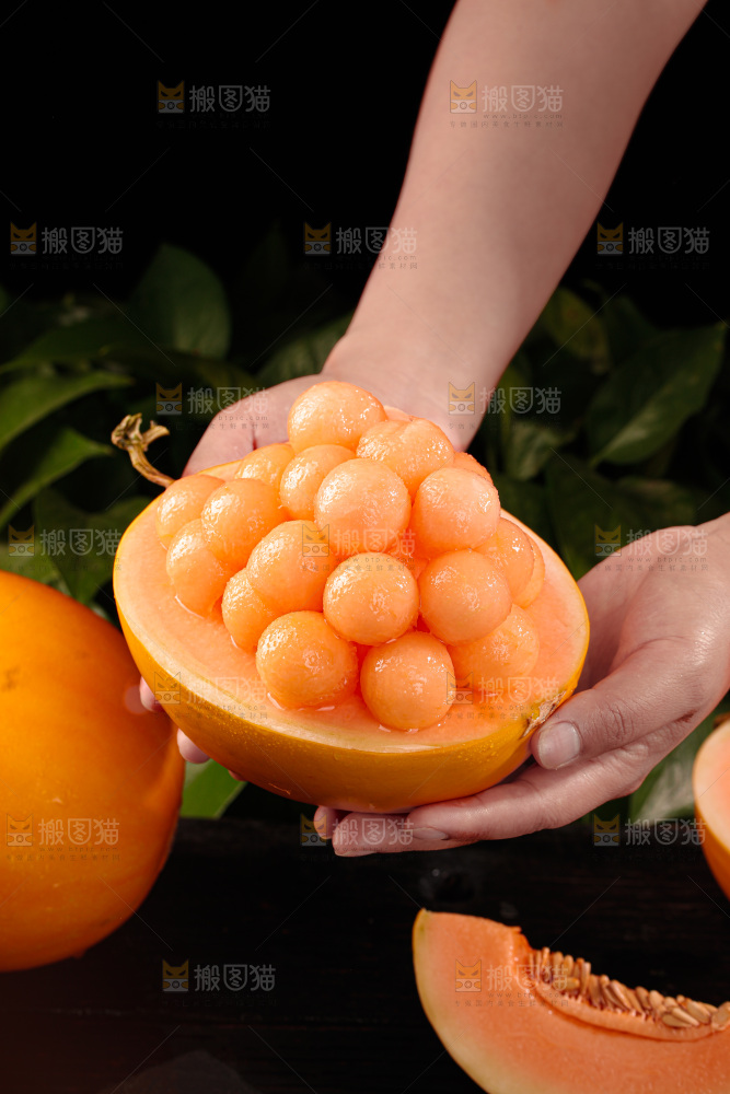黄河蜜瓜
