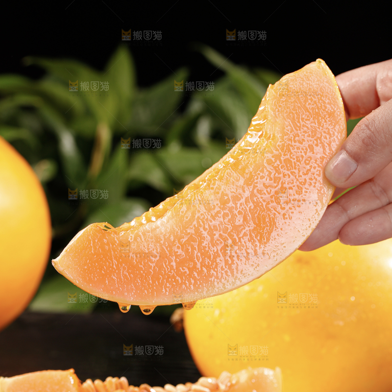 黄河蜜瓜