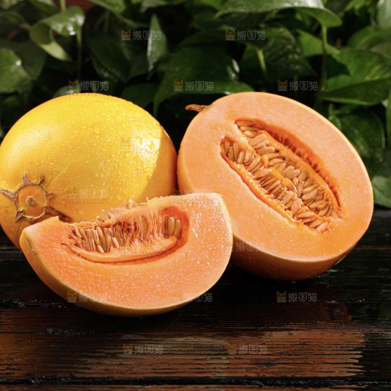 黄河蜜瓜
