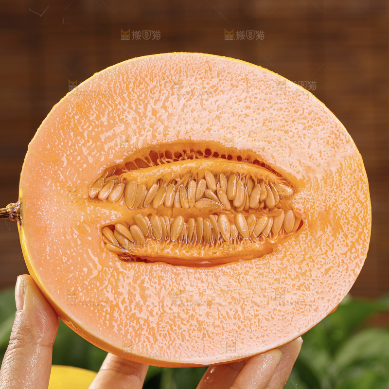 黄河蜜瓜