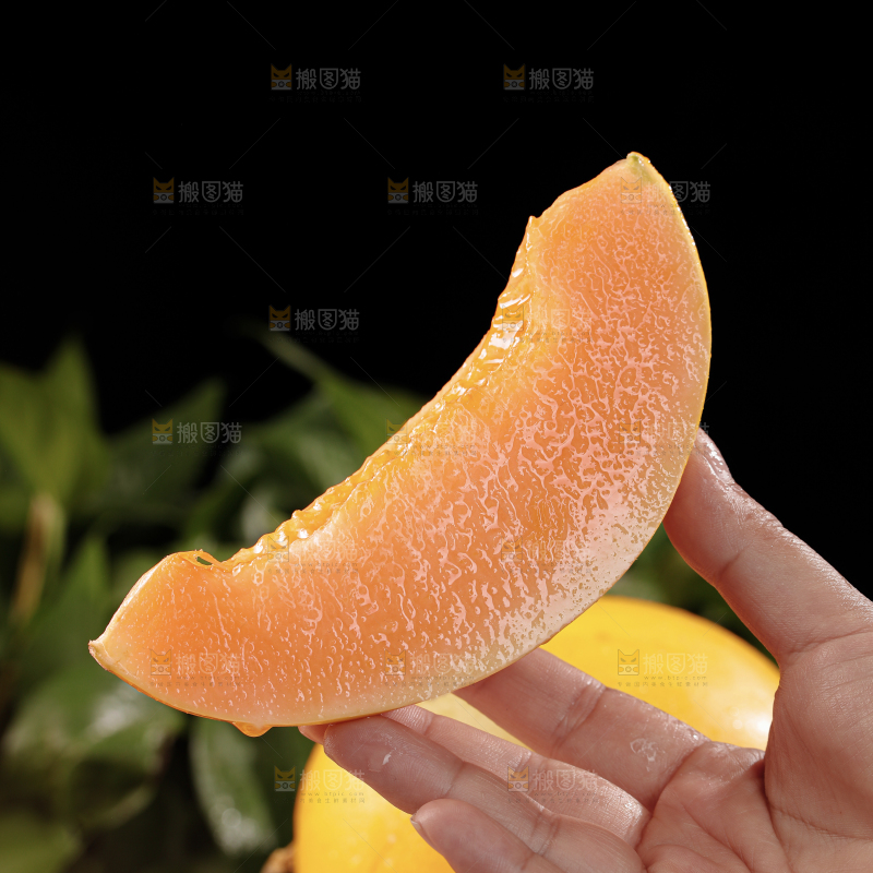 黄河蜜瓜
