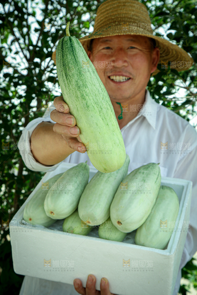 羊角蜜甜瓜