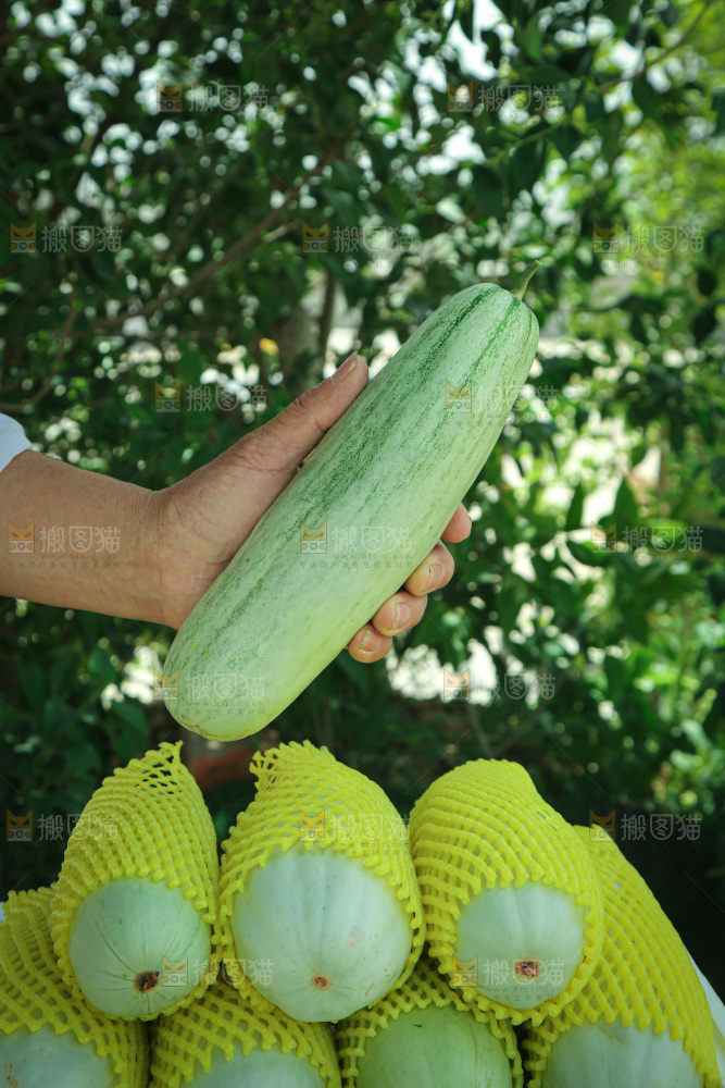 羊角蜜甜瓜