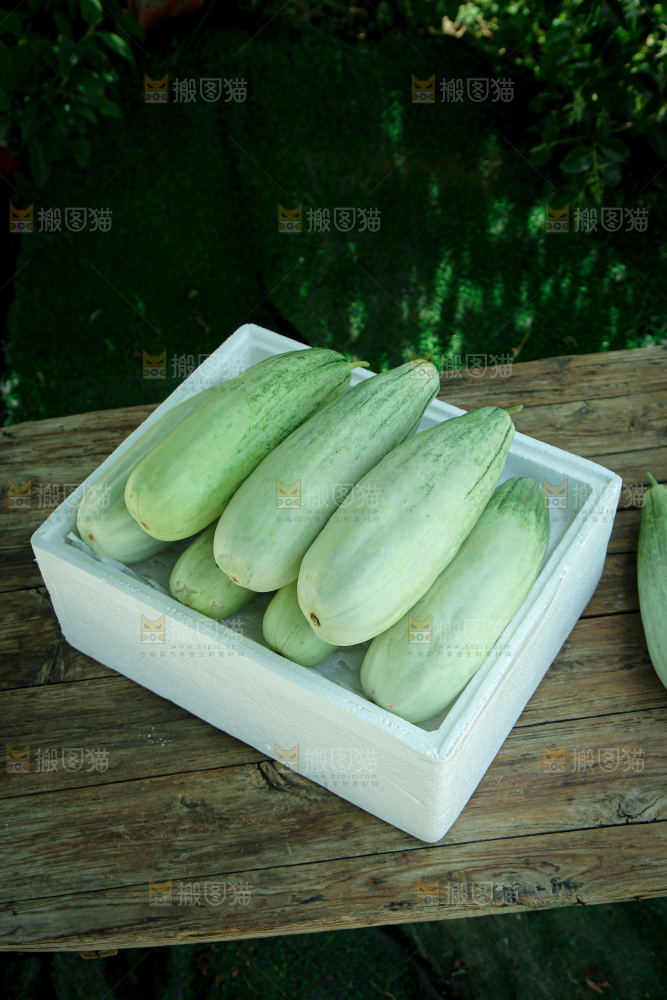 羊角蜜甜瓜