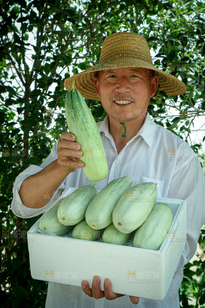 羊角蜜甜瓜