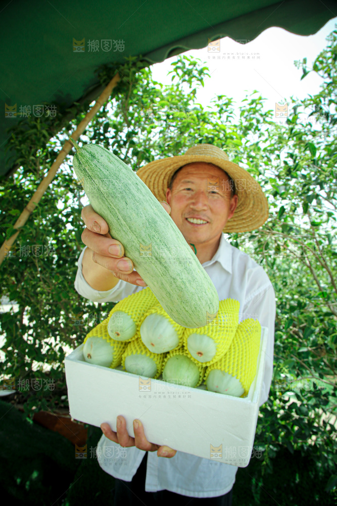 羊角蜜甜瓜