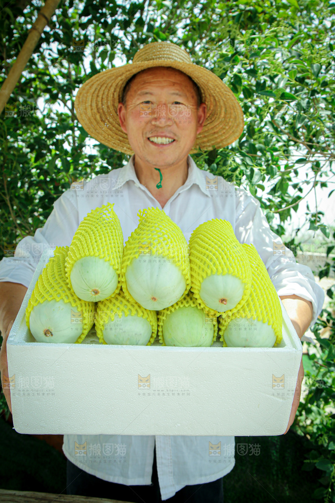 羊角蜜甜瓜