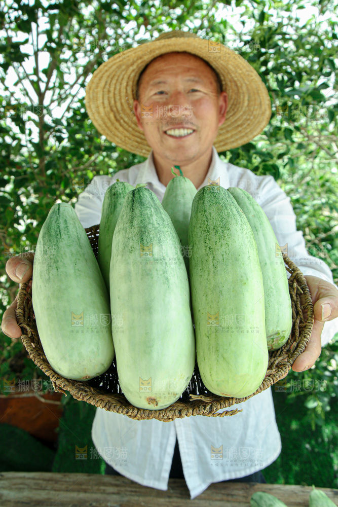 羊角蜜甜瓜