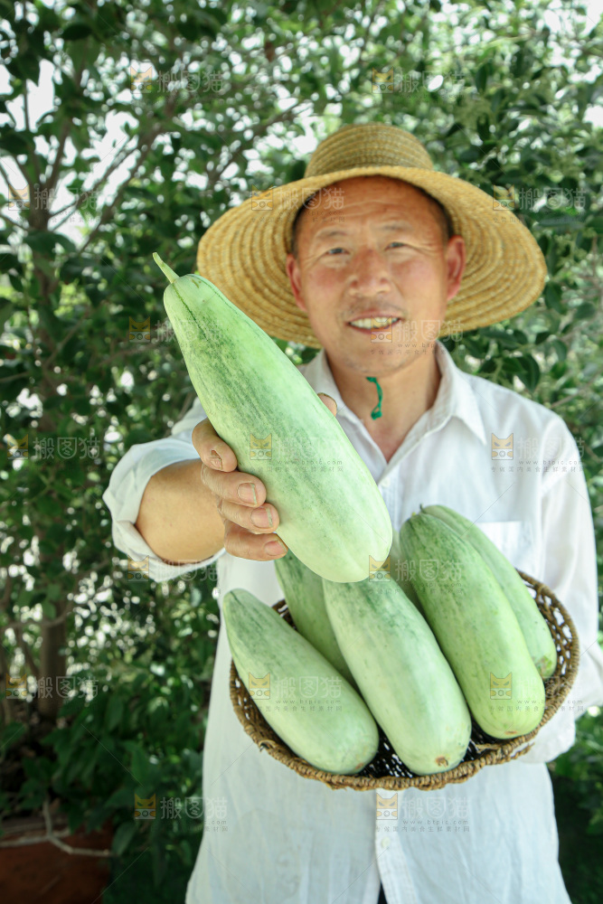 羊角蜜甜瓜