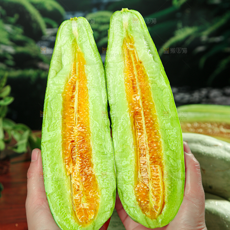 羊角蜜甜瓜