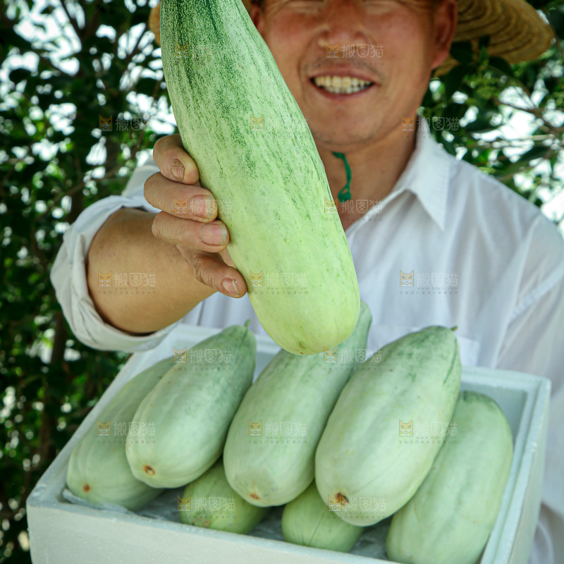 羊角蜜甜瓜