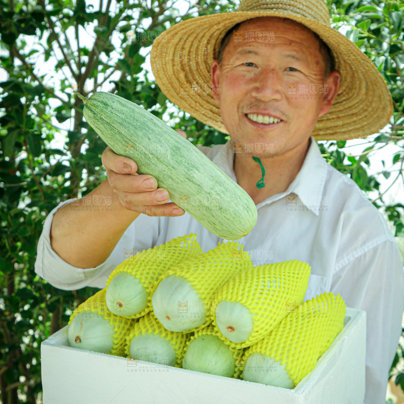 羊角蜜甜瓜
