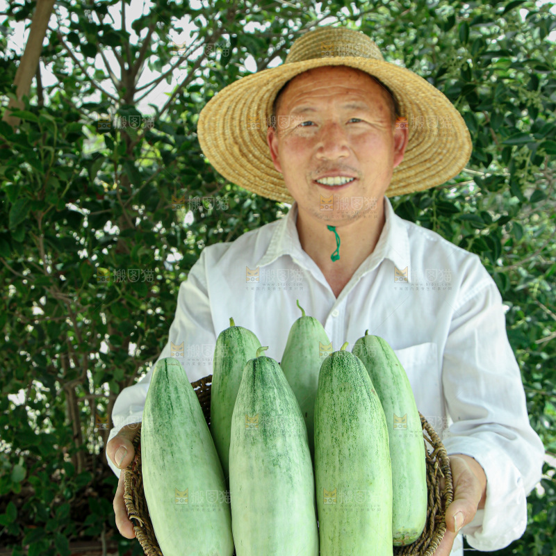 羊角蜜甜瓜